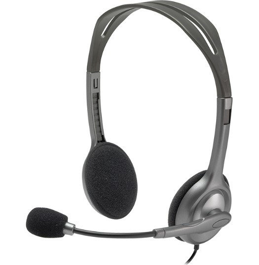 LOGITECH H110 STEREO HEADSET WITH DUAL 3.5MM JACK, NOISE-CANCELLING MIC, 2Y